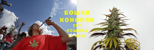 тгк Белокуриха