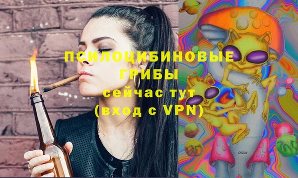 твердый Балахна