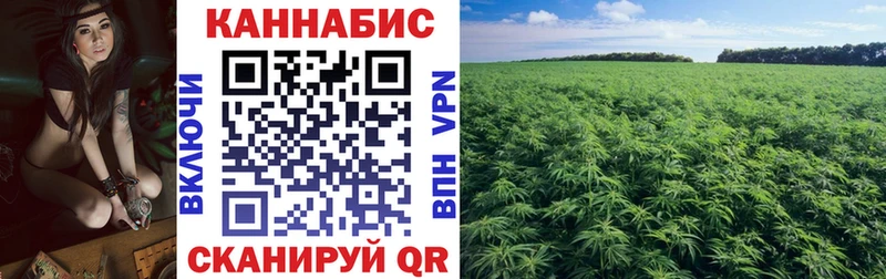как найти наркотики Бузулук Марихуана SATIVA & INDICA